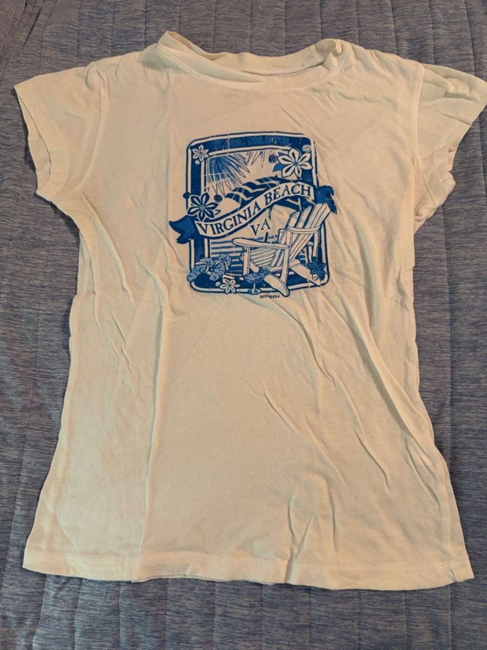 Retro Fox Cream Tee with Blue Virginia Beach Logo Print